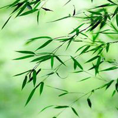 罗技广告贬低消费者 品牌方回应
